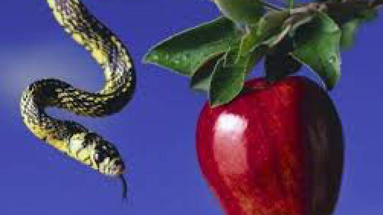 Perche Il Signore Permette La Tentazione La Luce Di Maria