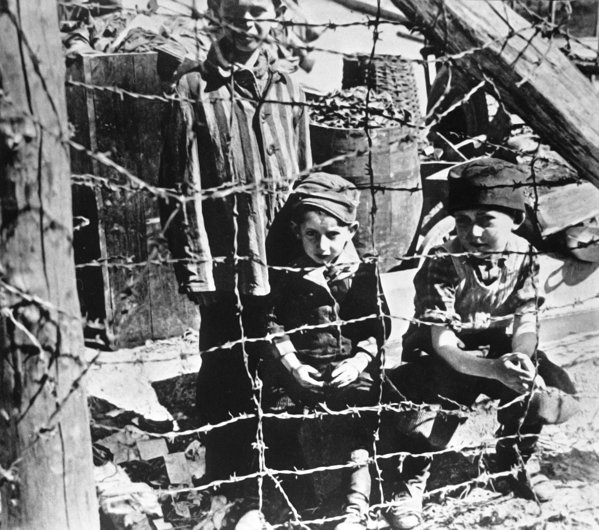 olycom - nazismo - OLOCAUSTO - BAMBINI SOPRAVVISSUTI ALL'INFERNO DEI CAMPI DI CONCENTRAMENTO IN GERMANIA, CAMPO DI STERMINIO, LAGER OLOCAUSTO, FILO SPINATO, PRIGIONIA, ANNI 40.