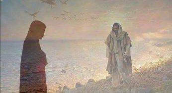 La Meditazione del giorno, a cura di Don Gaetano
