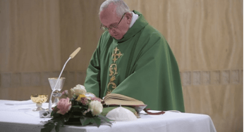 Papa Francesco: Dio ci dà il Dna di figli e ci affida la Terra da custodire