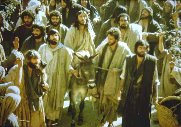 Domenica delle Palme: diamo inizio alla settimana Santa