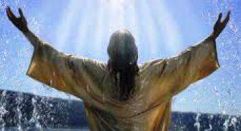 La Parola del giorno dal Vangelo secondo Giovanni 16,12-15.