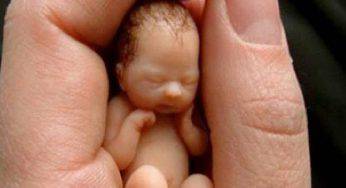 Aborti gratuiti in Texas, per tutte le donne colpite dall’uragano Harvey