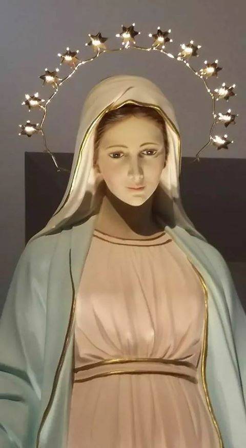 immacolata concezione