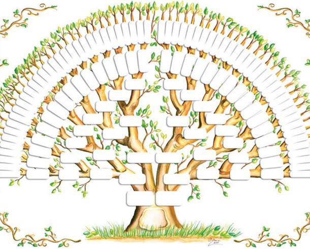 L'albero genealogico ci trasmette qualcosa di sinistro?