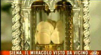 Miracolo Eucaristico: Siena, 223 ostie intatte da 300 anni – Video