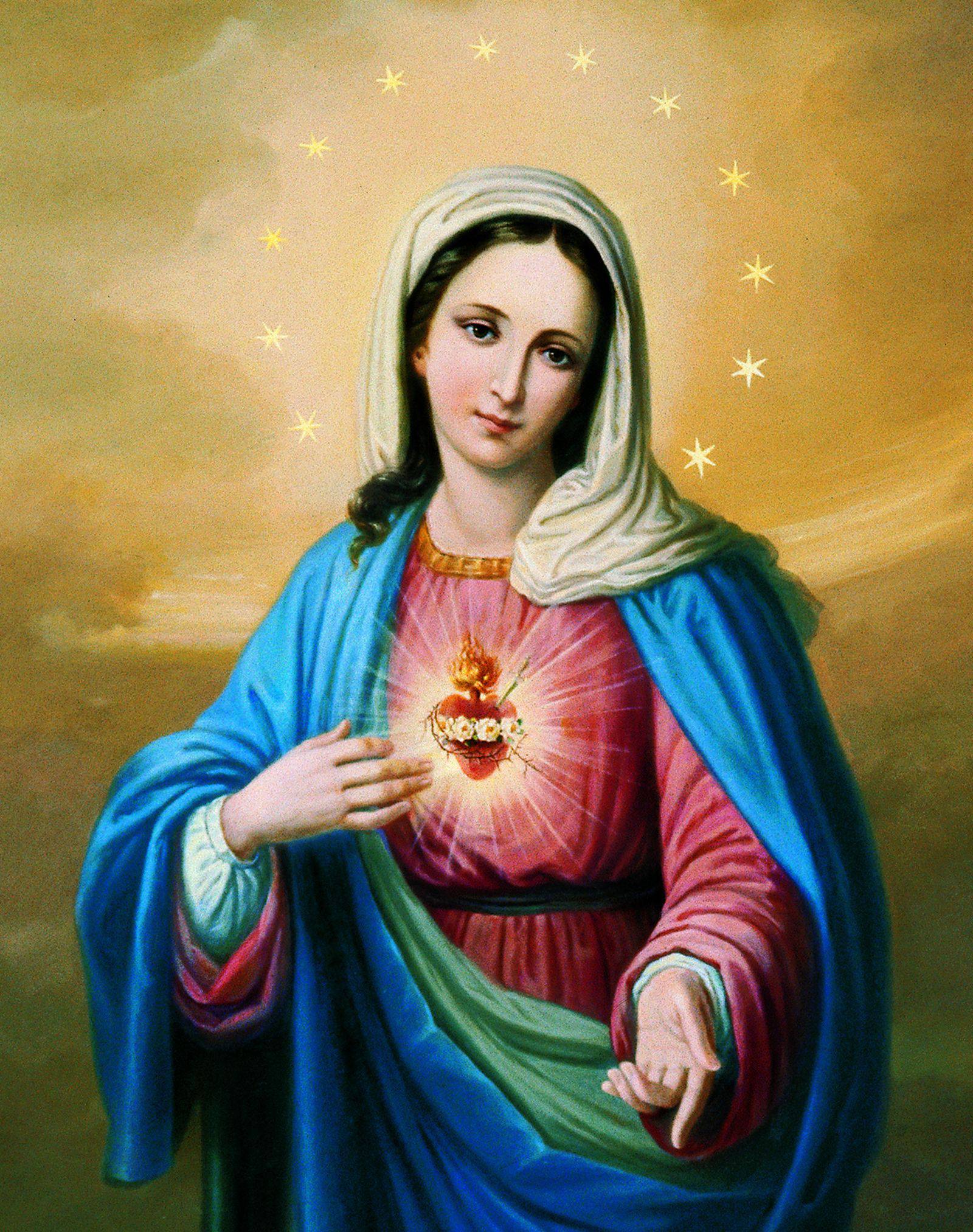 Vangelo del giorno secondo Luca 2,41-51 - Cuore Immacolato di Maria