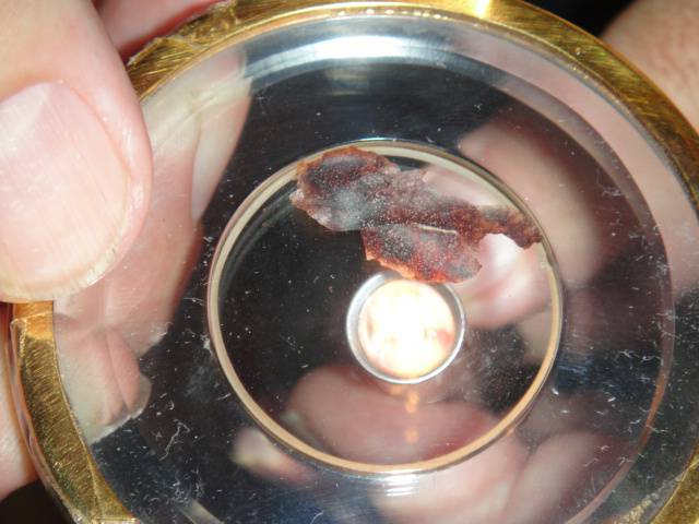 Il Miracolo Eucaristico di Buenos Aires sotto gli occhi di Bergoglio
