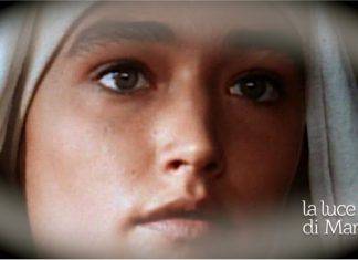 immacolata concezione
