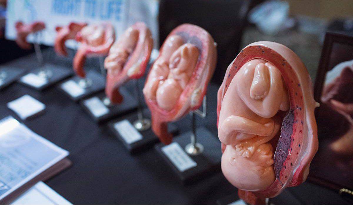 manifestazione aborto incendio