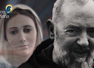 Padre Pio Bilocazione