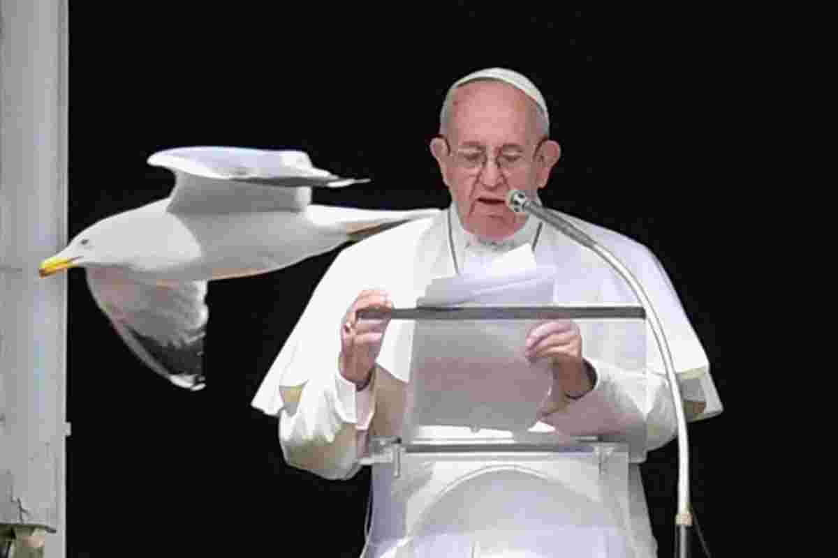 angelus papa francesco