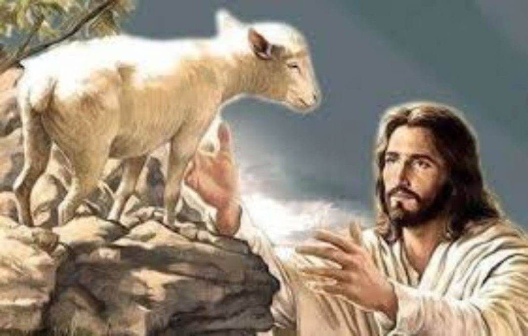 Immagini Di Gesù Buon Pastore Gesù, il Buon Pastore: da guida a strumento di salvezza