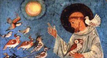 San Francesco d’Assisi: l’opera biografica ci aiuta a conoscerlo meglio