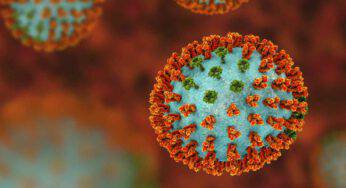 Coronavirus: nonostante i contagi, niente panico. Il virus non fa ammalare