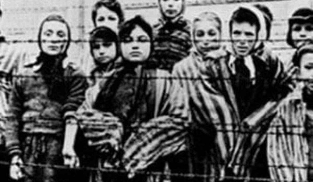 фотографии детских концлагерей. дети освенцим коржавин. детские вещи в концлагерях. лидице концлагерь. женское детский концлагерь.