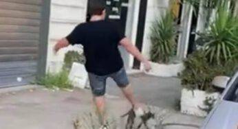 VIDEO SHOCK Uccide un gatto, quello che accade dopo è incredibile