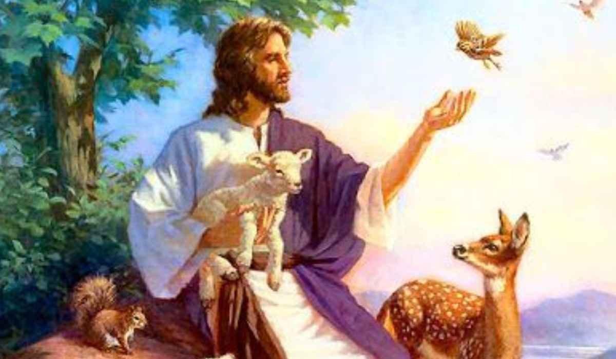 Gesù animali paradiso