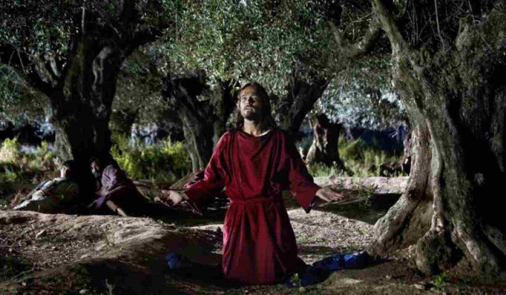 Orto degli ulivi Getsemani Gesù