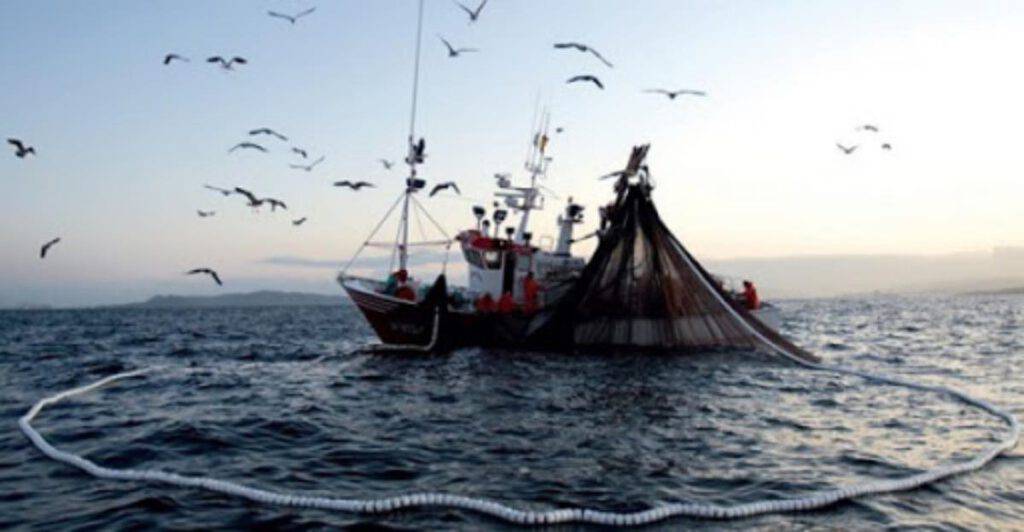 Giornata mondiale Pesca