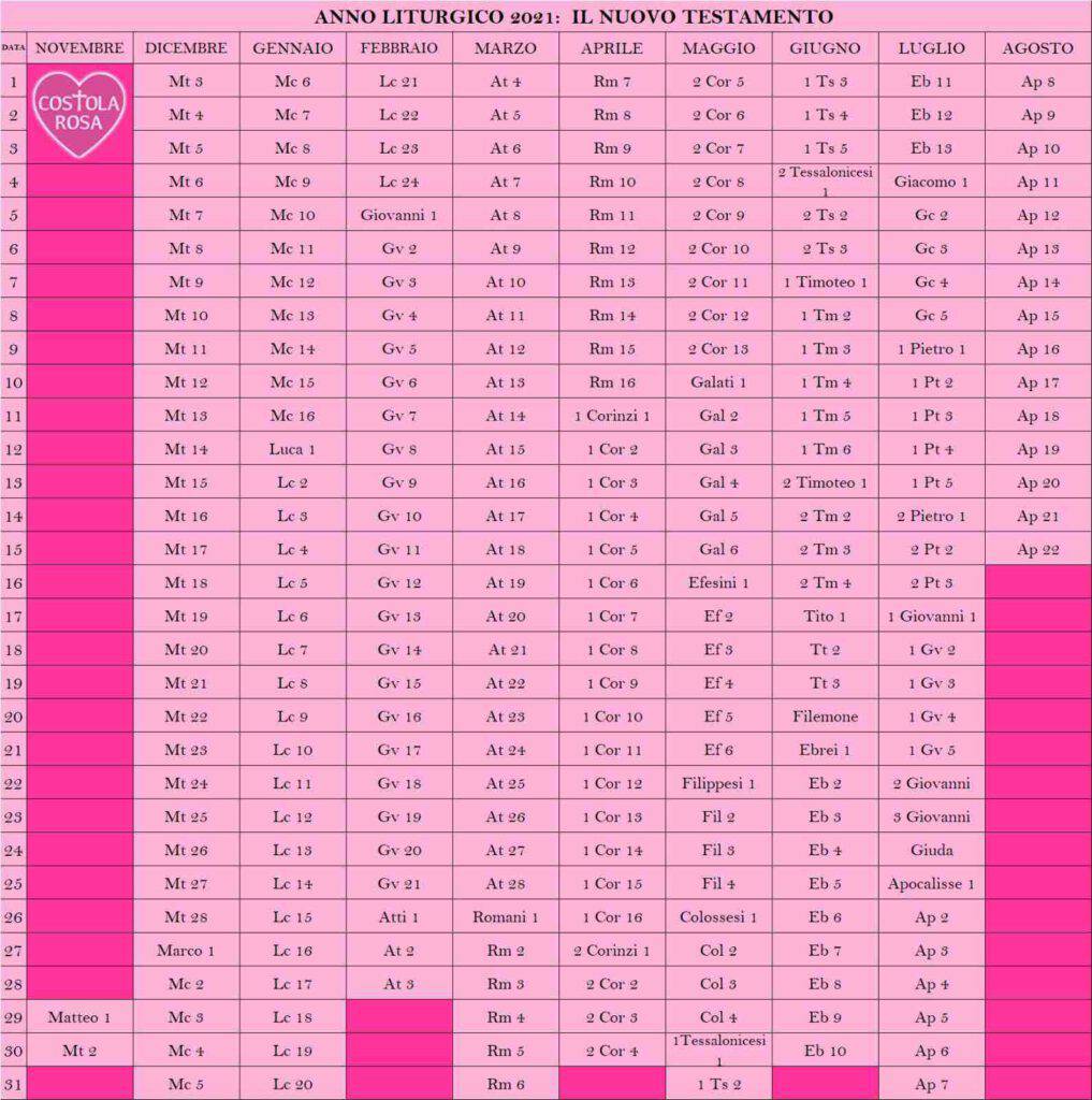 Costola Rosa: la Parola, passo dopo passo