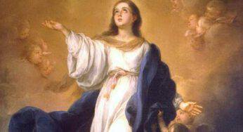 Maria, la Piena di Grazia – La Liturgia di oggi Martedì 8 Dicembre 2020