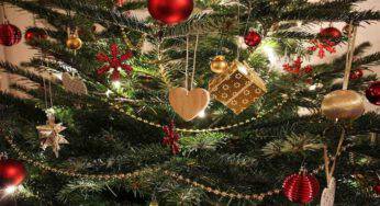 L’albero di Natale è un simbolo cristiano? Lo svela una bella tradizione