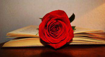 Rose e libri: un’antica tradizione catalana per festeggiare il santo patrono