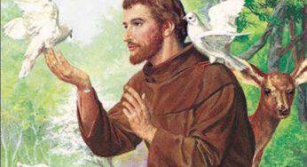 San Francesco d’Assisi compie quasi 800 anni di santità