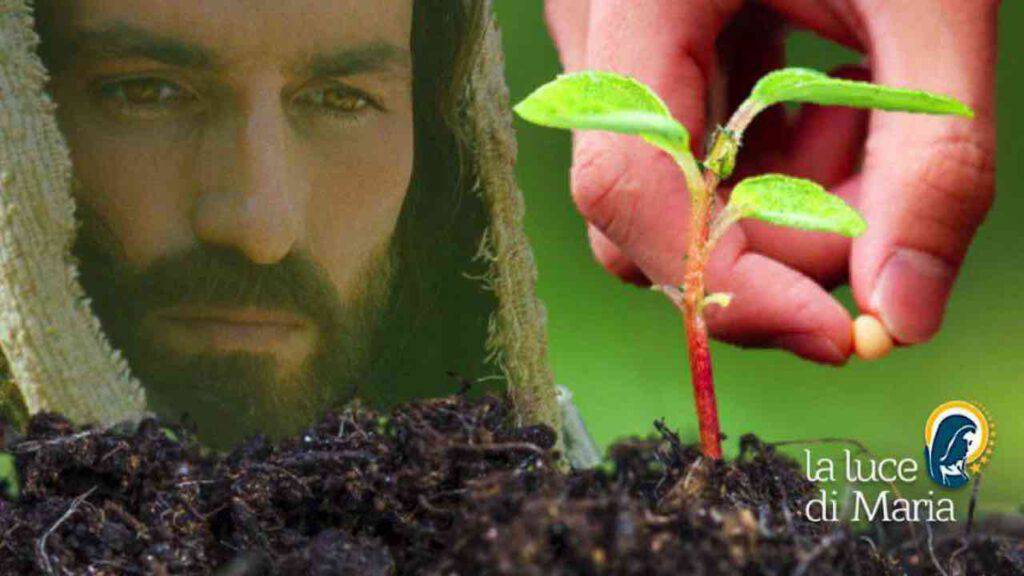 Vangelo di oggi 10 Agosto 2022: Gv 12,24 26 | Video commento Vangelo di oggi 10 Agosto 2022: Gv 12,24 26 | Video commento