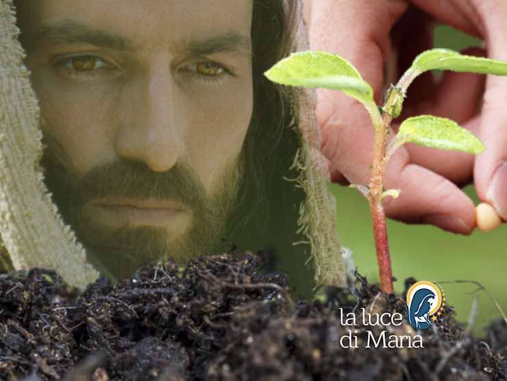 vangelo di oggi