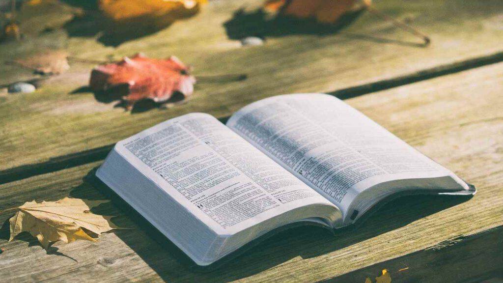 Bibbia aperta foglie secche
