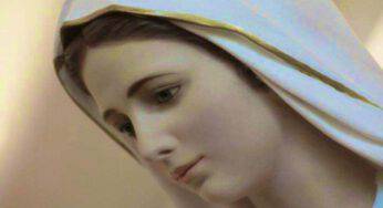 La Madonna di Medjugorje in controtendenza | Ecco quello che non ti aspetteresti mai