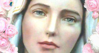 Preghiamo la Madonna nel mese a lei dedicato ogni giorno con un Santo | 11 maggio