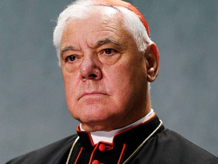 Urgente appello del cardinale Muller: un Concistoro per riportare la pace