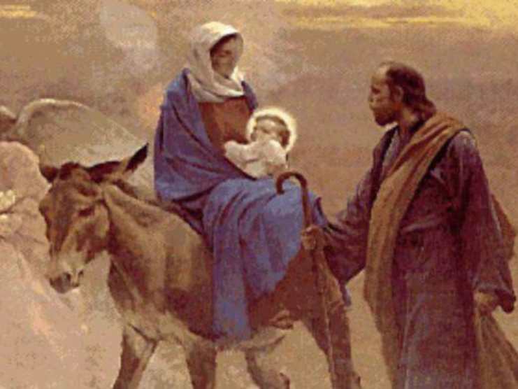 madonna asinello 1