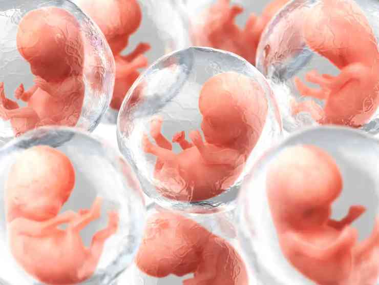 embrioni sintentici
