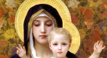 Oggi 1° gennaio: Solennità di Maria Santissima Madre di Dio | La più Beata tra tutte le madri