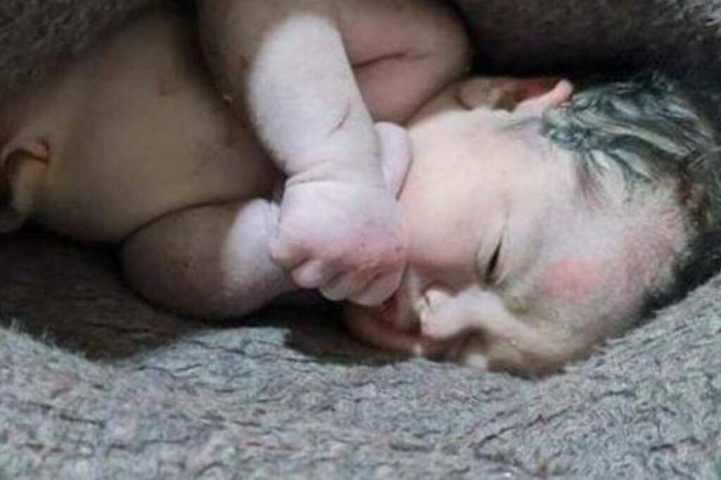 Miracolo della vita irrompe nella terribile tragedia: grida qualcosa di molto importante Miracolo della vita irrompe nella terribile tragedia: grida qualcosa di molto importante