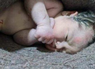 Miracolo della vita irrompe nella terribile tragedia: grida qualcosa di molto importante