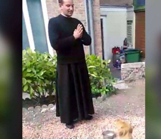 Il cane che aspetta la preghiera prima dei pasti: due video incredibili ne sono la prova