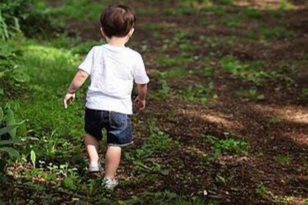 Bimbo di 4 anni scomparso: vaga per giorni in grande pericolo. Trovato miracolosamente vivo Bimbo di 4 anni scomparso: vaga per giorni in grande pericolo. Trovato miracolosamente vivo