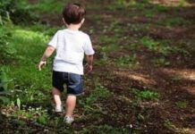 Bimbo di 4 anni scomparso: vaga per giorni in grave pericolo. Trovato miracolosamente vivo