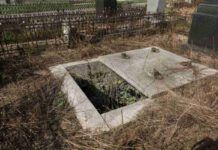 Miracolo delle api: segno straordinario di Giuseppe Ambrosoli all'apertura della sua tomba