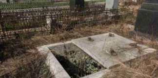 Miracolo delle api: segno straordinario di Giuseppe Ambrosoli all'apertura della sua tomba