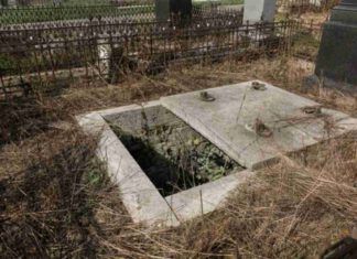 Miracolo delle api: segno straordinario di Giuseppe Ambrosoli all'apertura della sua tomba