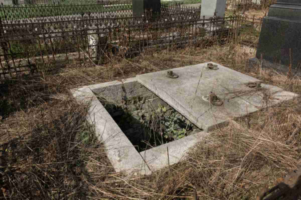 Miracolo delle api: segno straordinario di Giuseppe Ambrosoli all'apertura della sua tomba