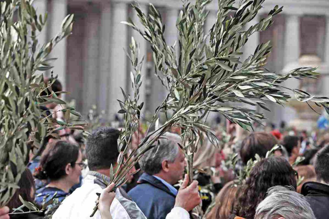 Orario Messe Divino Amore Domenica Delle Palme La passione nella voce del Santo Padre: la celebrazione della Domenica