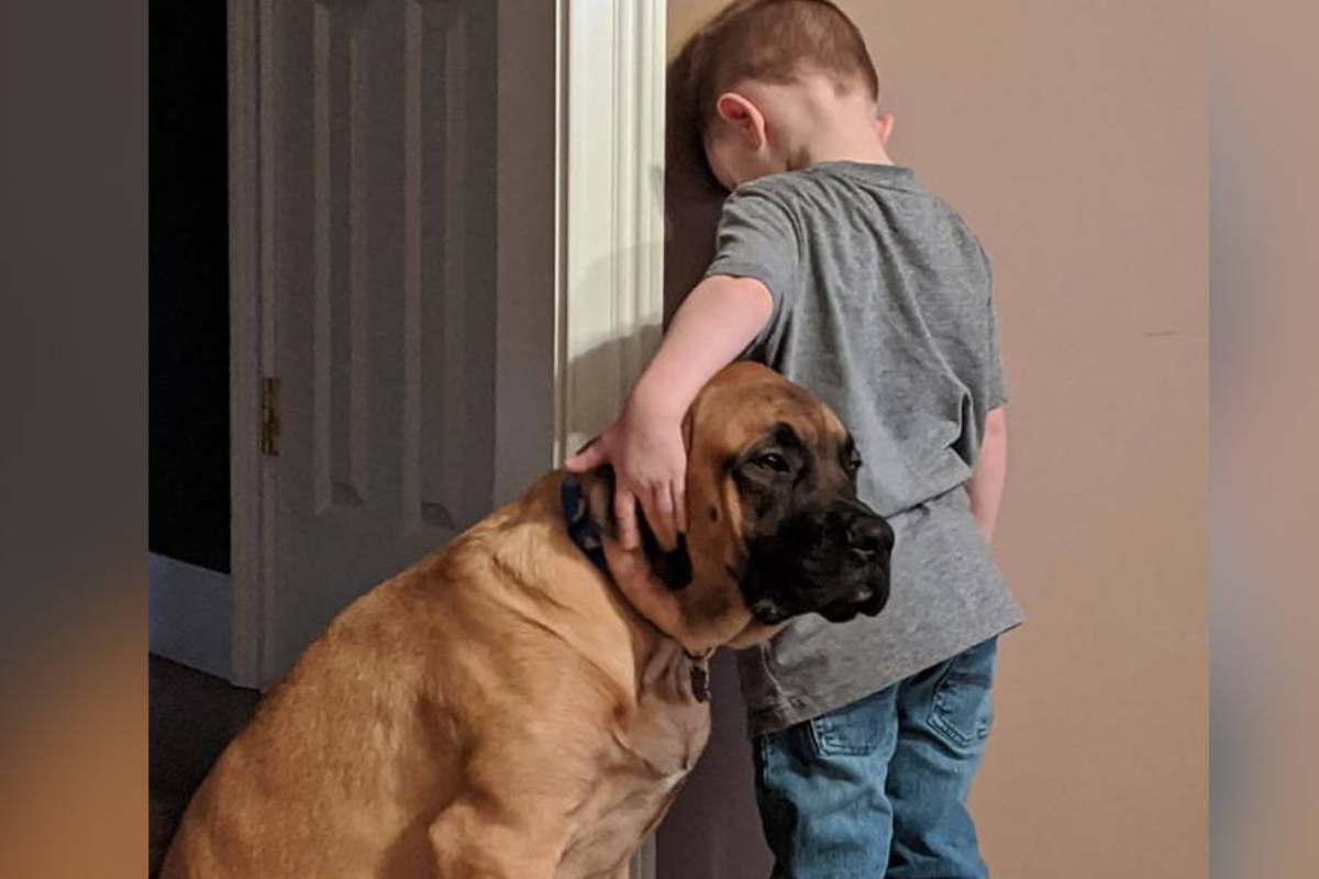 Bimbo è messo in punizione: toccante quello che fa il suo amico a quattro zampe