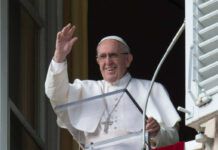Papa Francesco all'Angelus